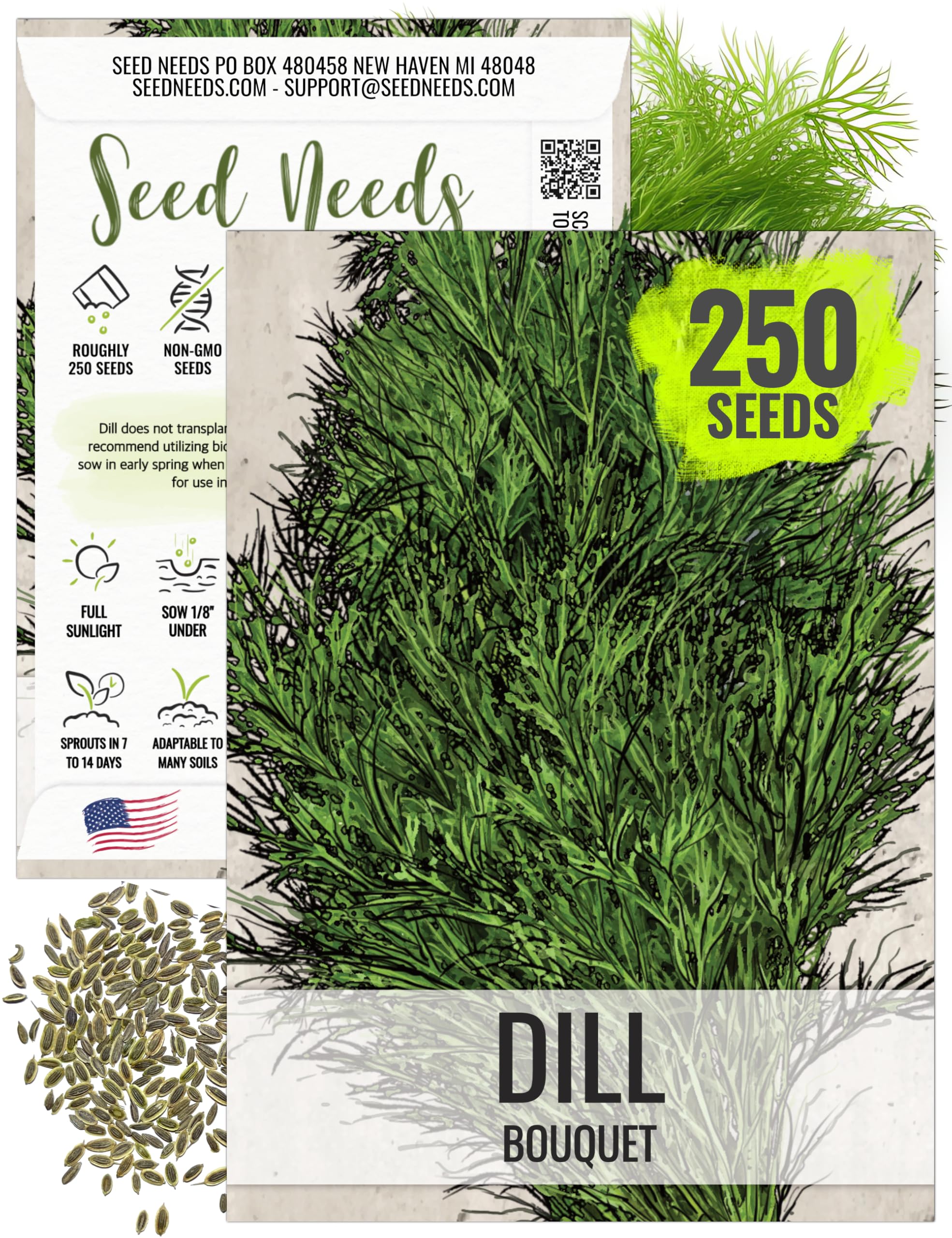 Seed Needs Dill Seeds for Planting Bouquet Herbs - Non-GMO Heirloom & Untreated Herb Seed to Plant a Home Grown Indoor / Outdoor Garden (1 Pack)