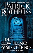 The Slow Regard of Silent Things hardcover