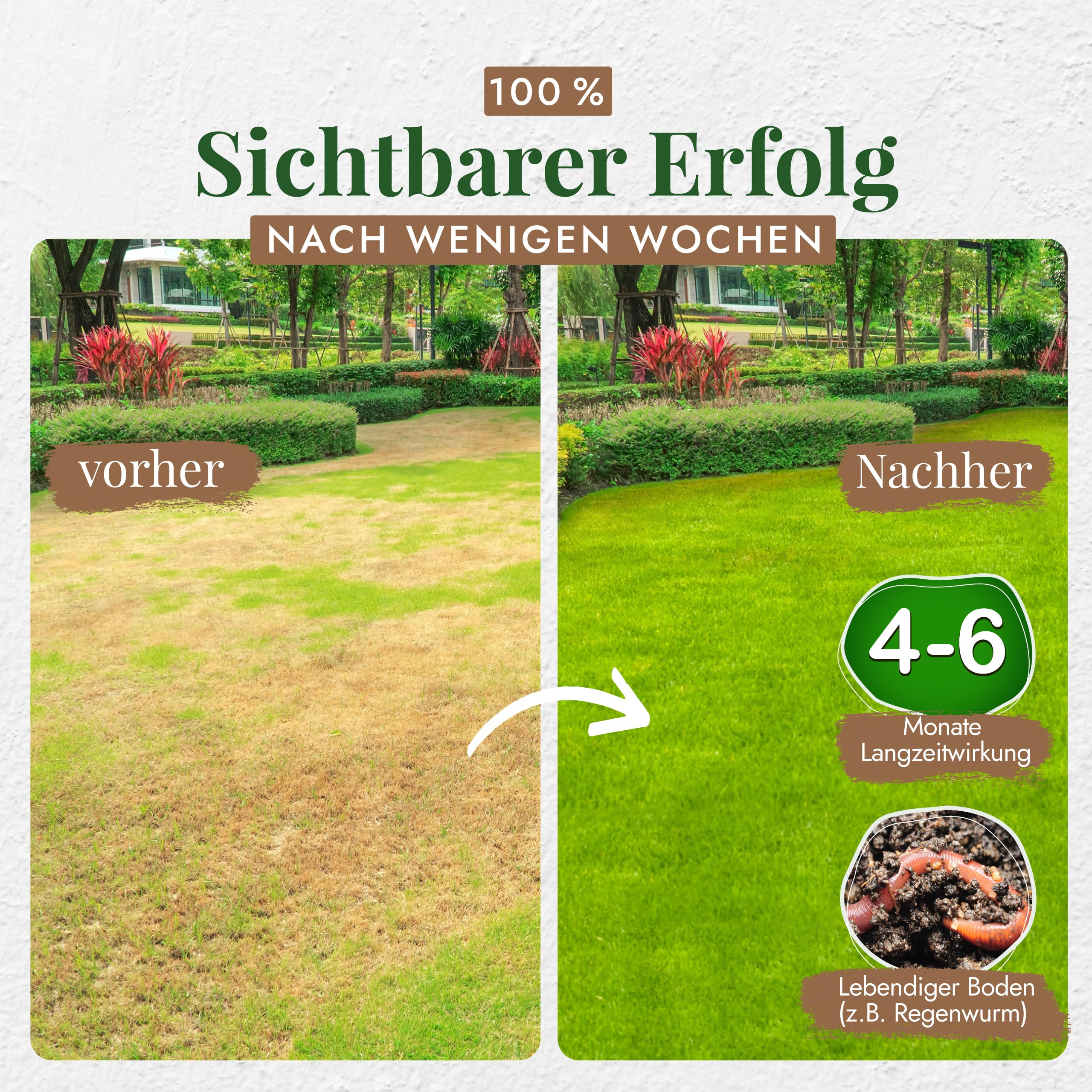 Gartenkorn Bio Rasen Set mit Dnger & Rasensamen fr 30m - Grassamen mit  Langzeit Volldnger & Bodenaktivator fr Lcken & Rasen Nachsaat, organisch  & vegan, unbedenklich fr Kinder und Haustiere : Amazon.de: