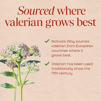 Nature's Way Valerian Nighttime, Valerian Root Sleep Support*, 100 Tablets