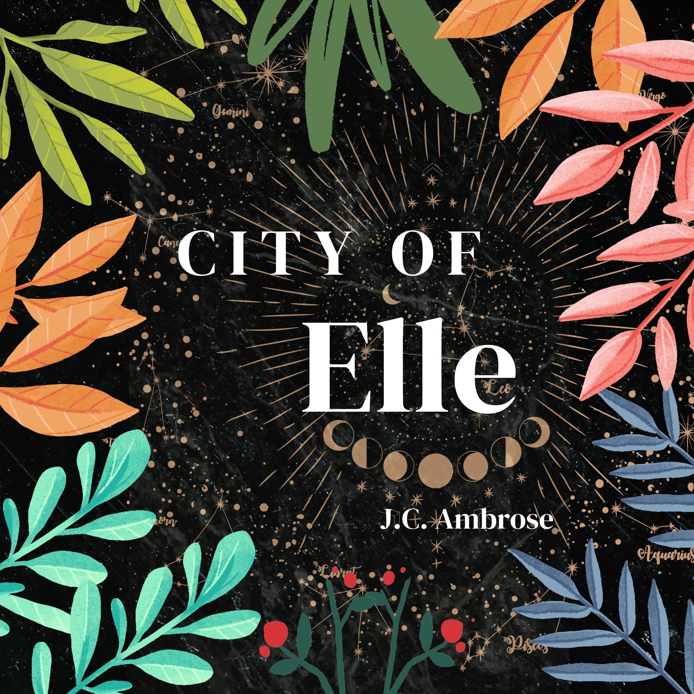 Cover art for City of Elle