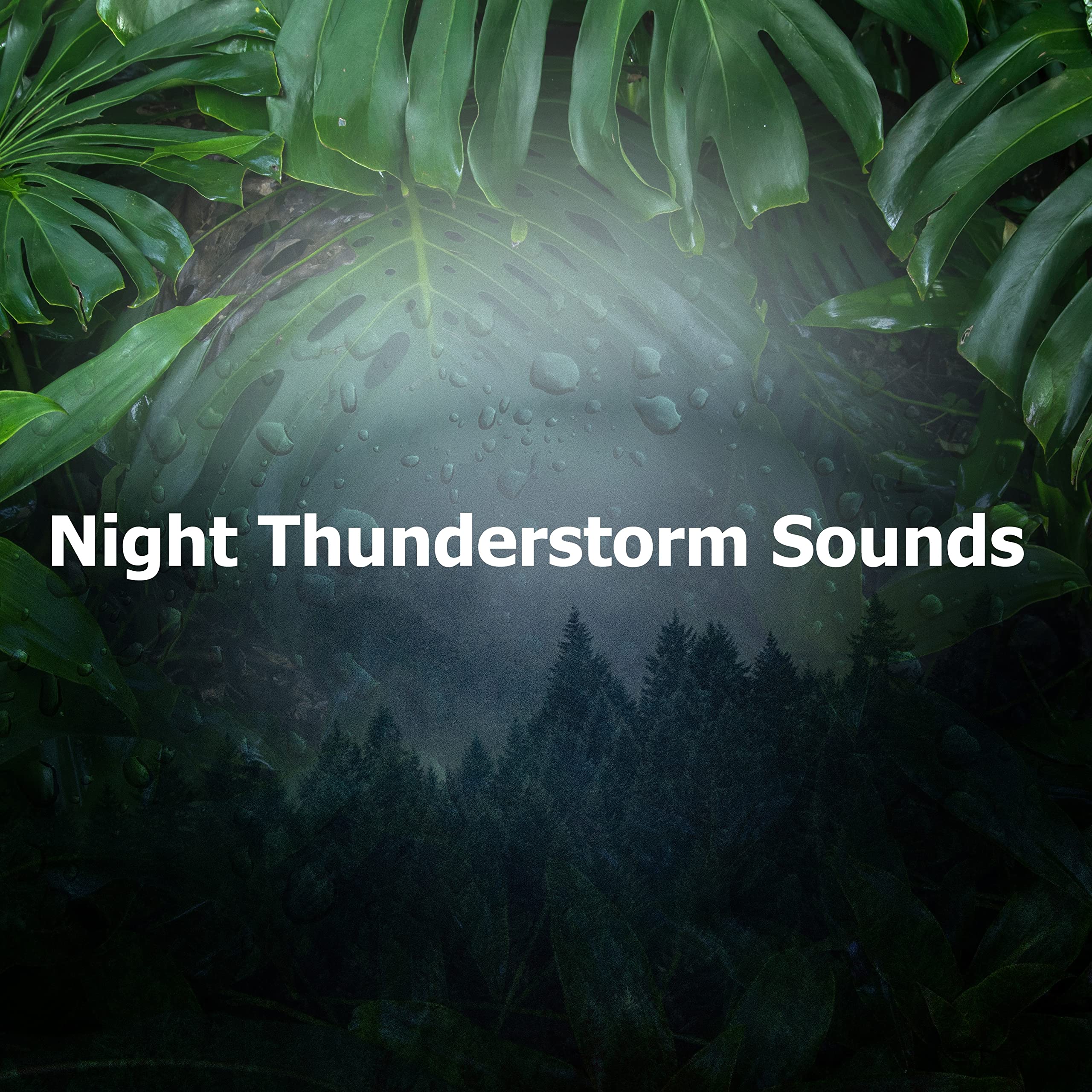 Night Thunderstorm Sounds For Sleeping