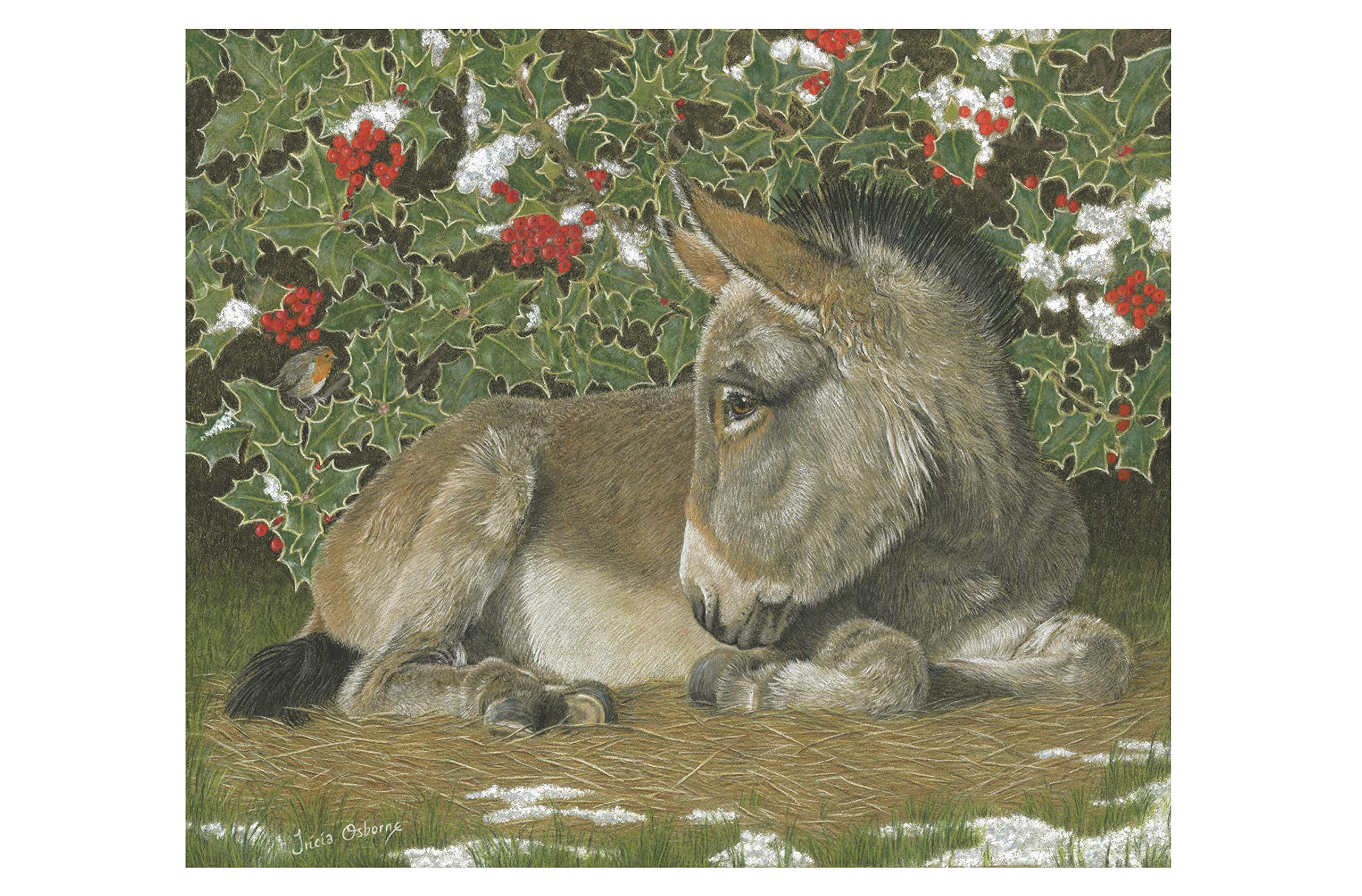 Ling Design Lot De 6 Cartes De Noël Caritatives – « It's That Special Time Of The Year » – Joli Design Artistique Avec âne Et Rouge-gorge Dans La Neige – 6