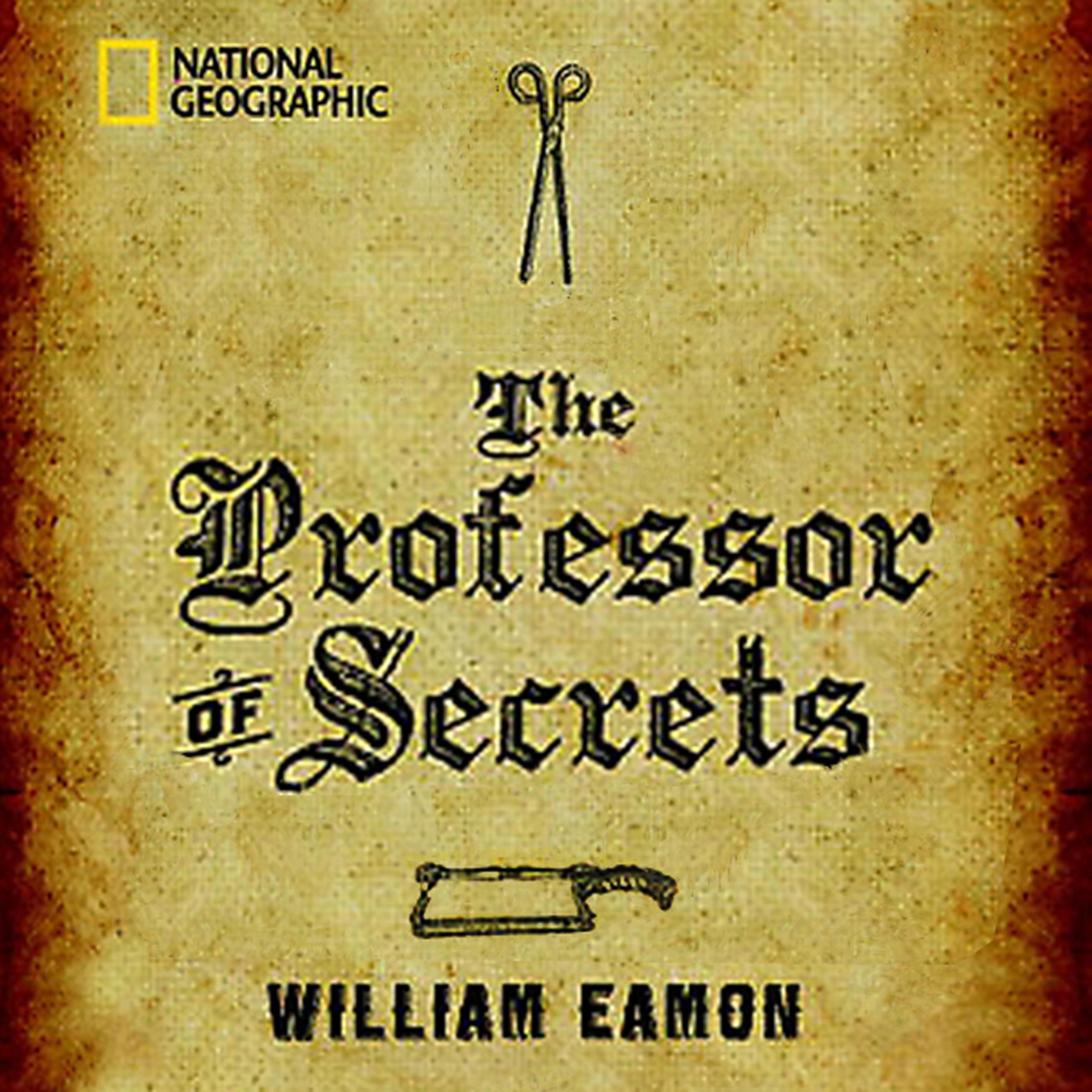Cover art for The Professor of Secrets