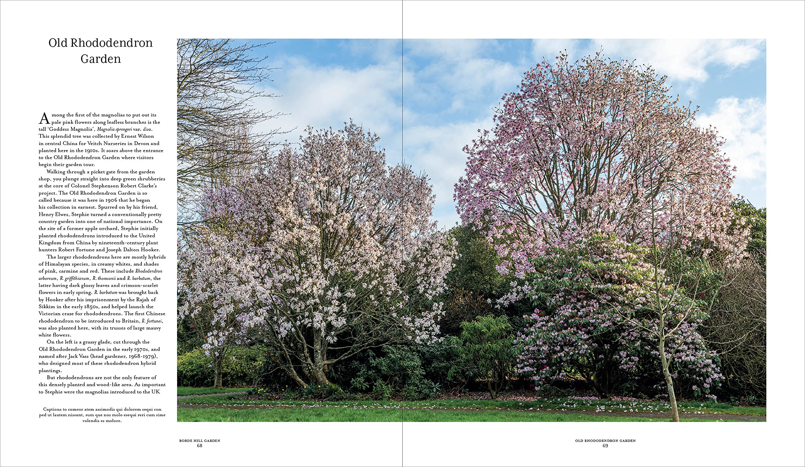 Borde Hill Garden: A Plant Hunter's Paradise