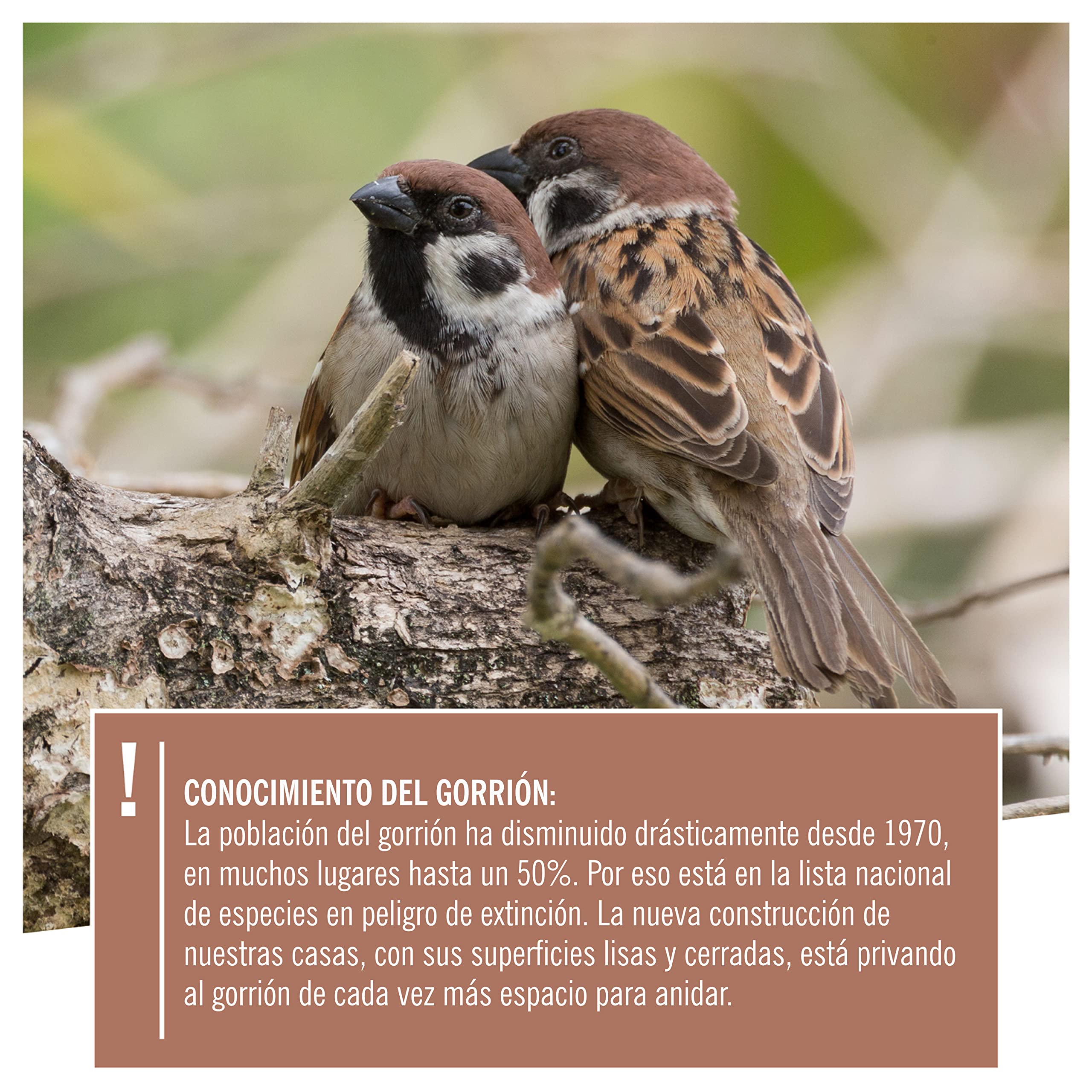 Wildtier Herz Nido de Madera para pájaros, Caja de Madera de 42cm x 32,5cm x 17cm, Atornillada, Sin Tratar, Resistente a la Intemperie, Provee un Espacio para anidar