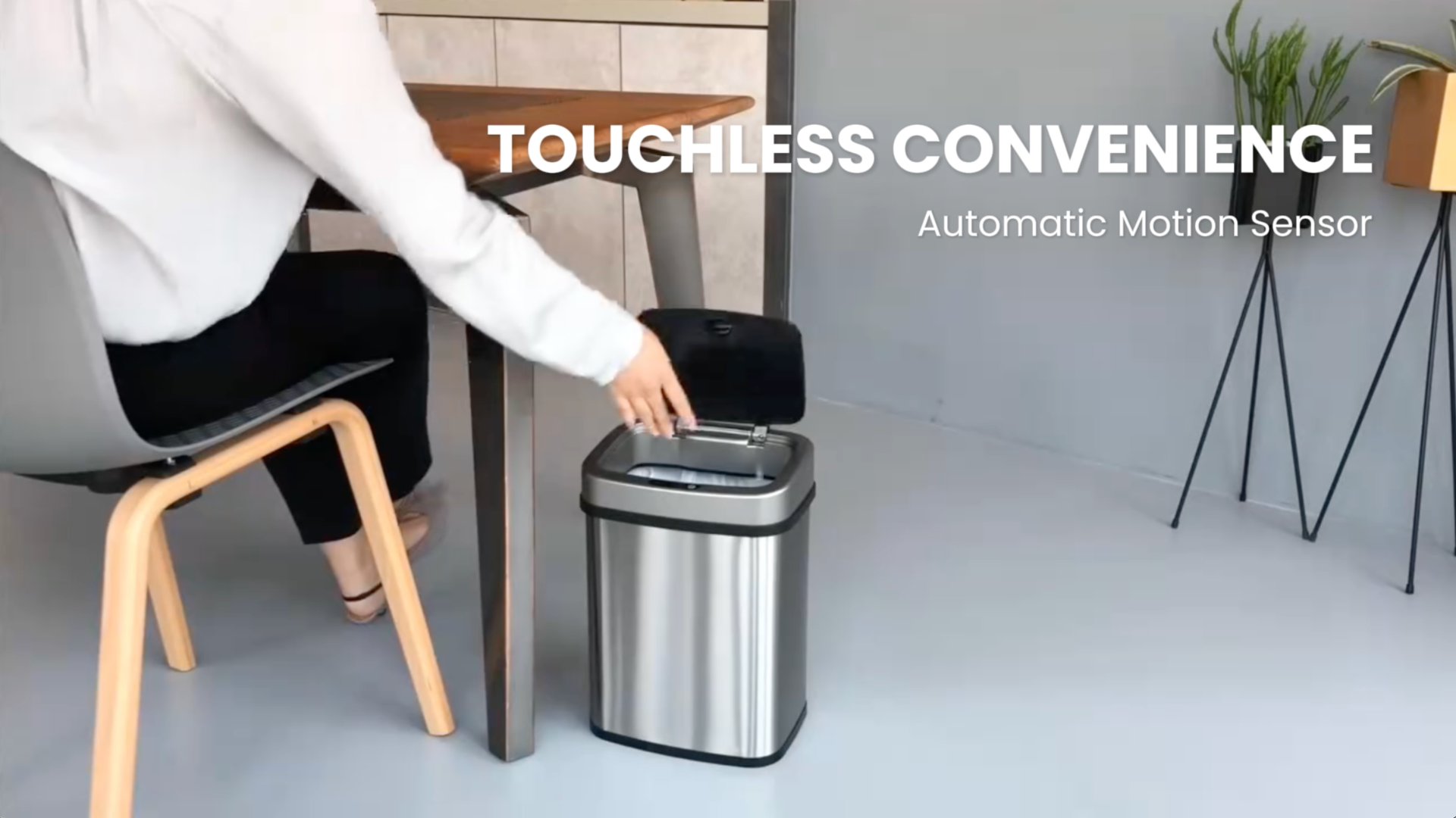 trash can sinatras デモ、B面2枚セット　+ ライブDVD1枚 Amazon.com: Ninestars 3 Gallon Automatic Trash Can, 12L Touchless