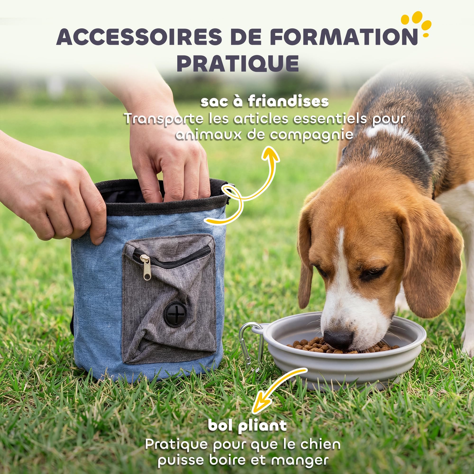 PawHut - Ensemble d'Agilité pour Chien 11 Pièces avec 2 Tunnels, Sauts Ajustables, Anneau, Piquets, Zone de Pause, Sac pour Friandises, Parcours d'Obstacle Intérieur et Extérieur avec Sac de Transport