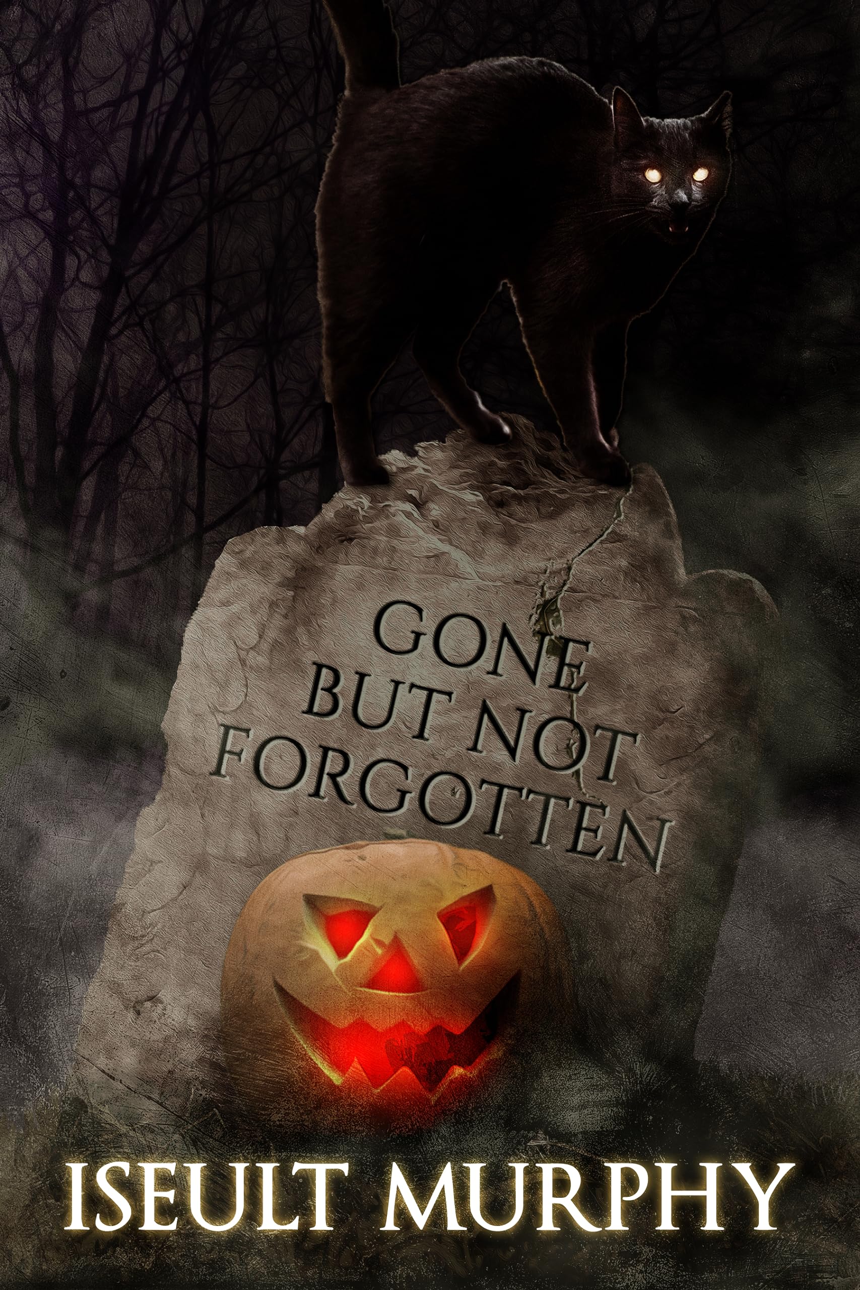 Cover of Gone But Not Forgotten
