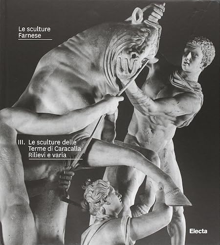 Le sculture Farnese. Ediz. illustrata. Le sculture delle Terme di Caracalla. Rilievi a varia (Vol. 3)