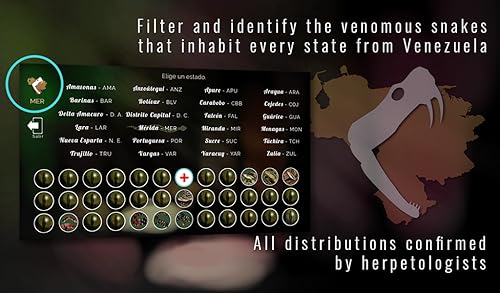 Siva 2D presents Venomous Snakes Venezuela