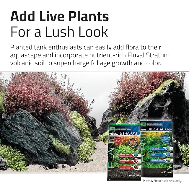 Foto 4 de 6 de Kit Decoracion para acuascaping Negro Fluval, Nano