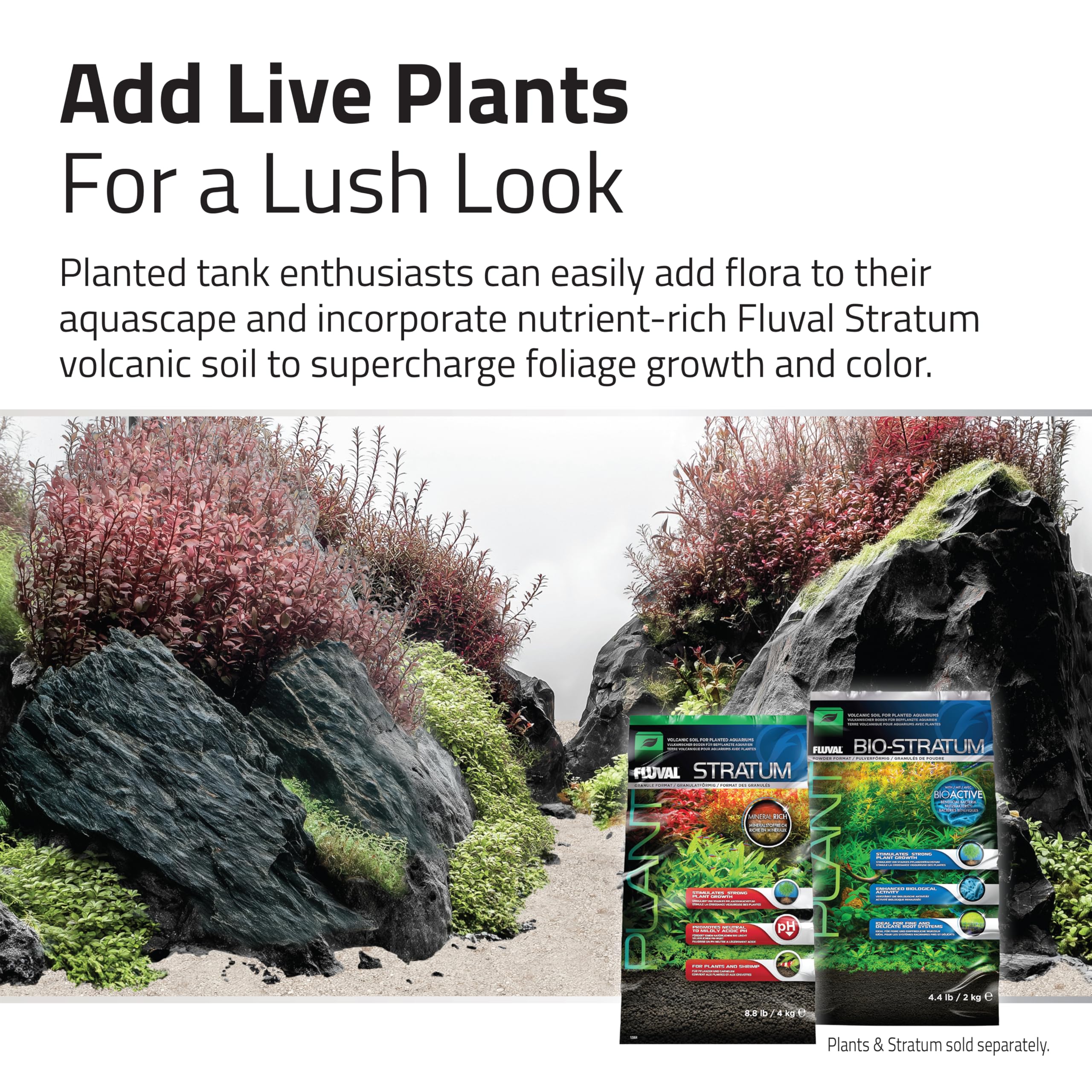 Kit Decoracion para acuascaping Negro Fluval, Nano