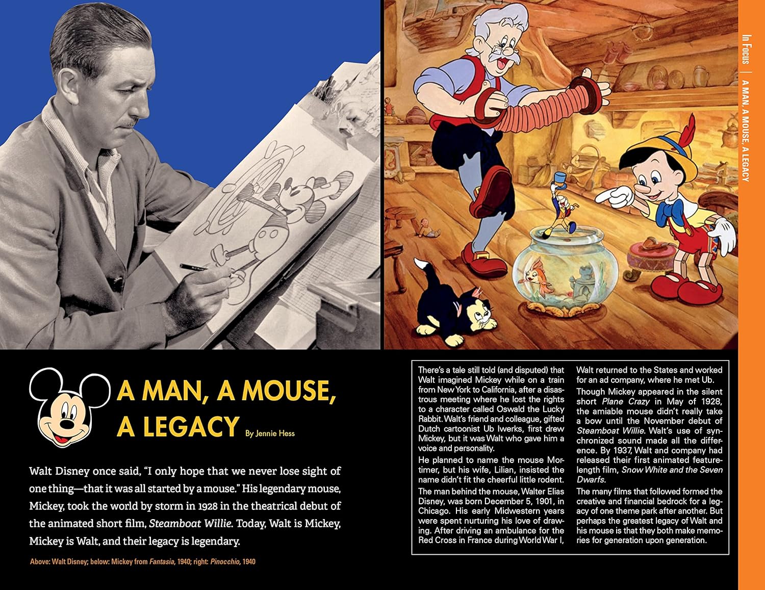 Best Travel Guide - Fodor's Walt Disney World Review