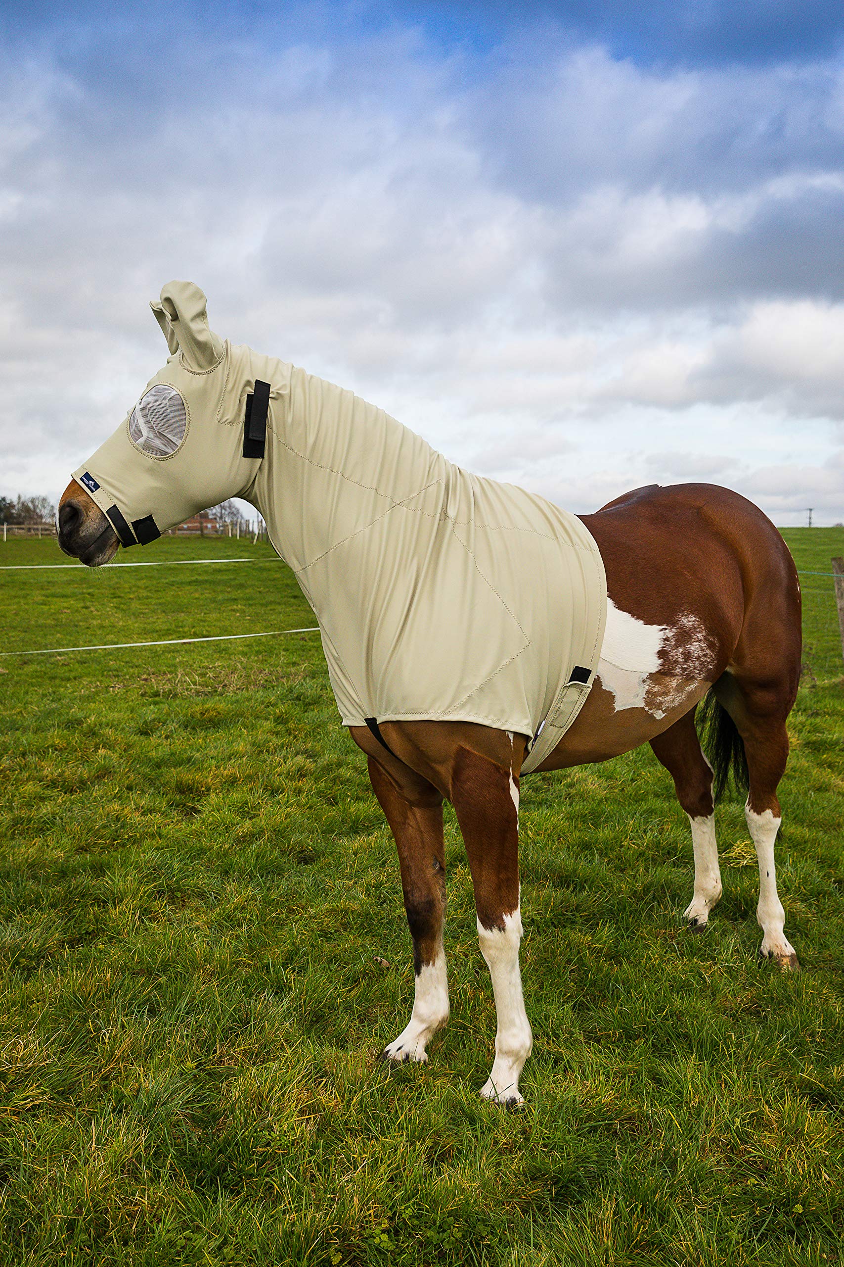 Snuggy Hoods Sweet Itch Hood - UV & biting insect protection - 8 Sizes, 2 Colours (Beige, M Pull On) โ image 1