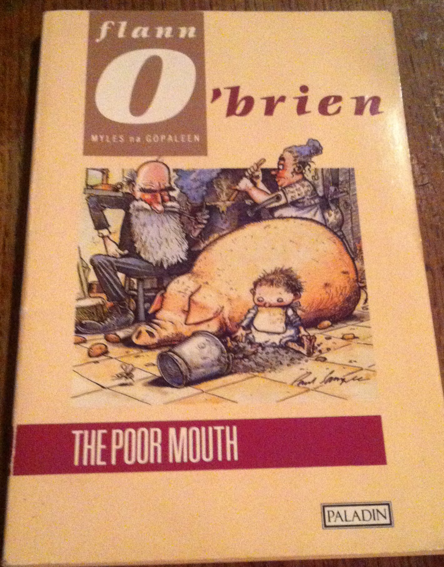 THE POOR MOUTH: Discover the Classic Irish Satire That Challenged National Sentiment