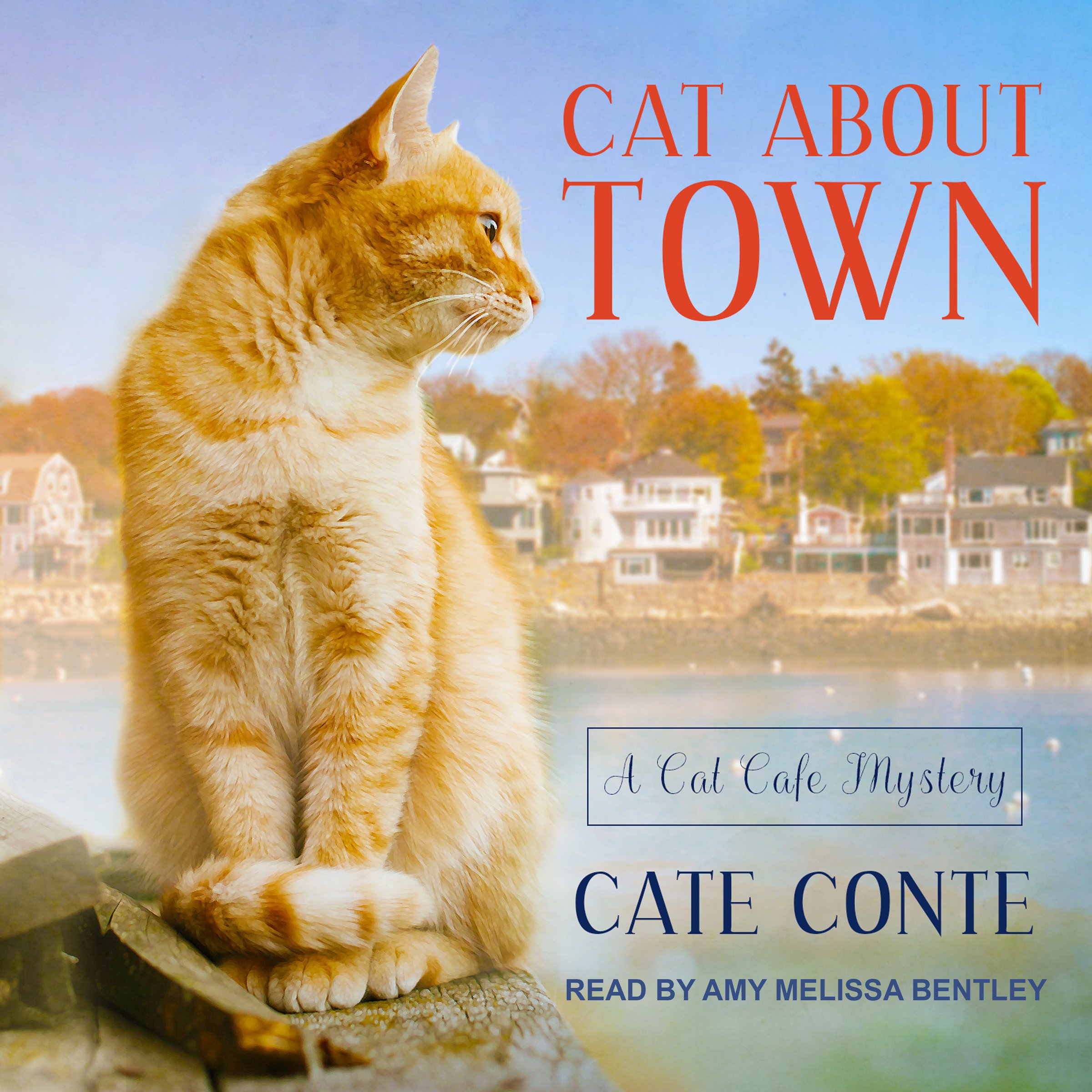 Cover art for Cat About Town