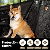 Ver la foto 7