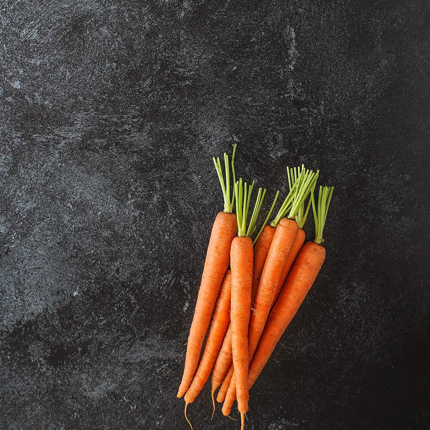 60% Off Discount Bessie Bakes Black Textured Paint Replicated Photography Backdrop Board for Food & Product Photography 2 ft Wide x 3ft Long 3 mm Thick Moisture Resistant Stain Resistant Lightweight Exclusive Discount 70% Price Bessie Bakes Black Textured Paint Replicated Photography Backdrop Board for Food & Product Photography 2 ft Wide x 3ft Long 3 mm Thick Moisture Resistant Stain Resistant Lightweight