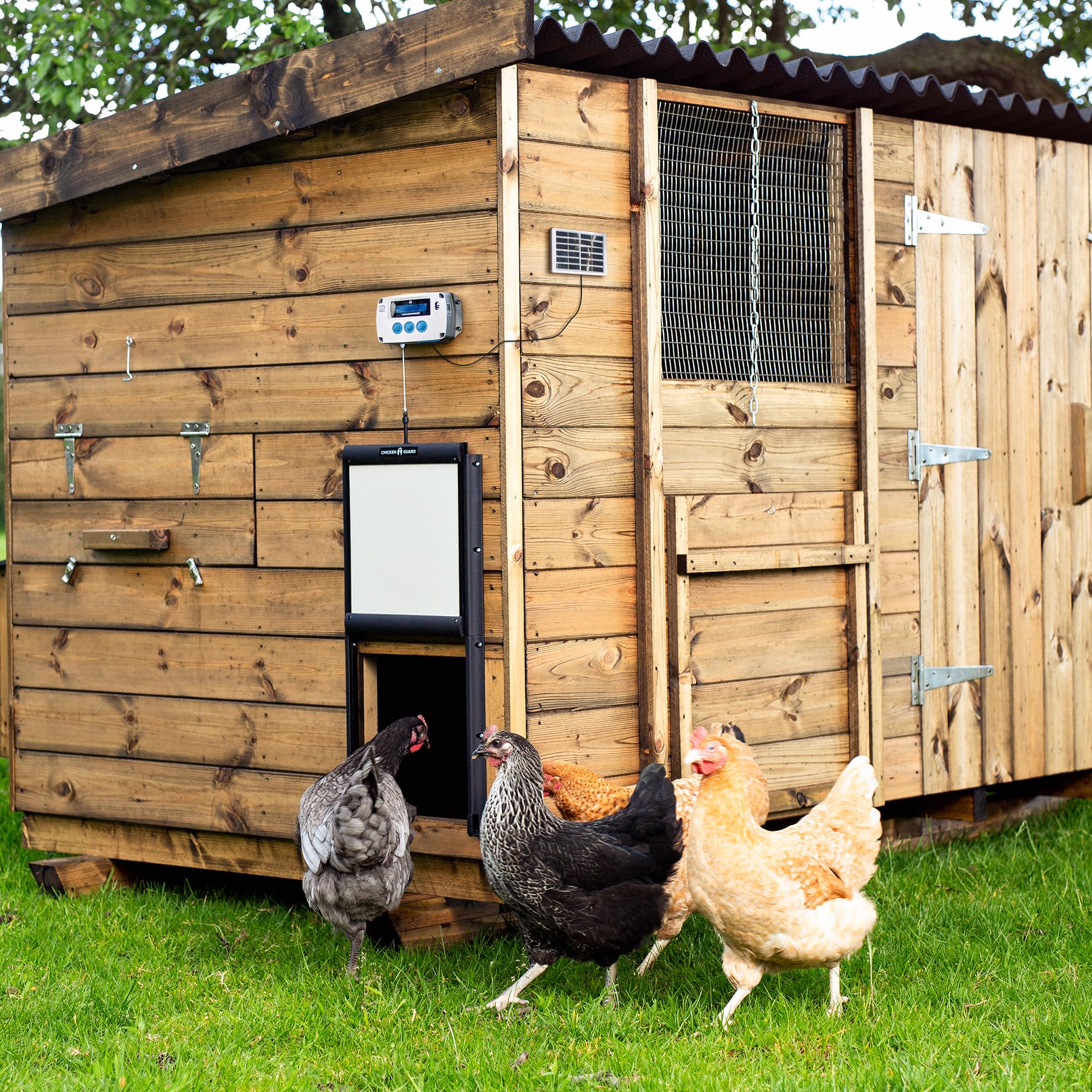 Automatyczne otwieranie drzwi kurnika, timer/czujnik światła ChickenGuard "PRO Solar Combi", zestaw paneli słonecznych w zestawie oraz samoblokujące się drzwi aluminiowe przeciw drapieżnikom