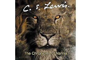 C&C Cage for Guinea Pigs