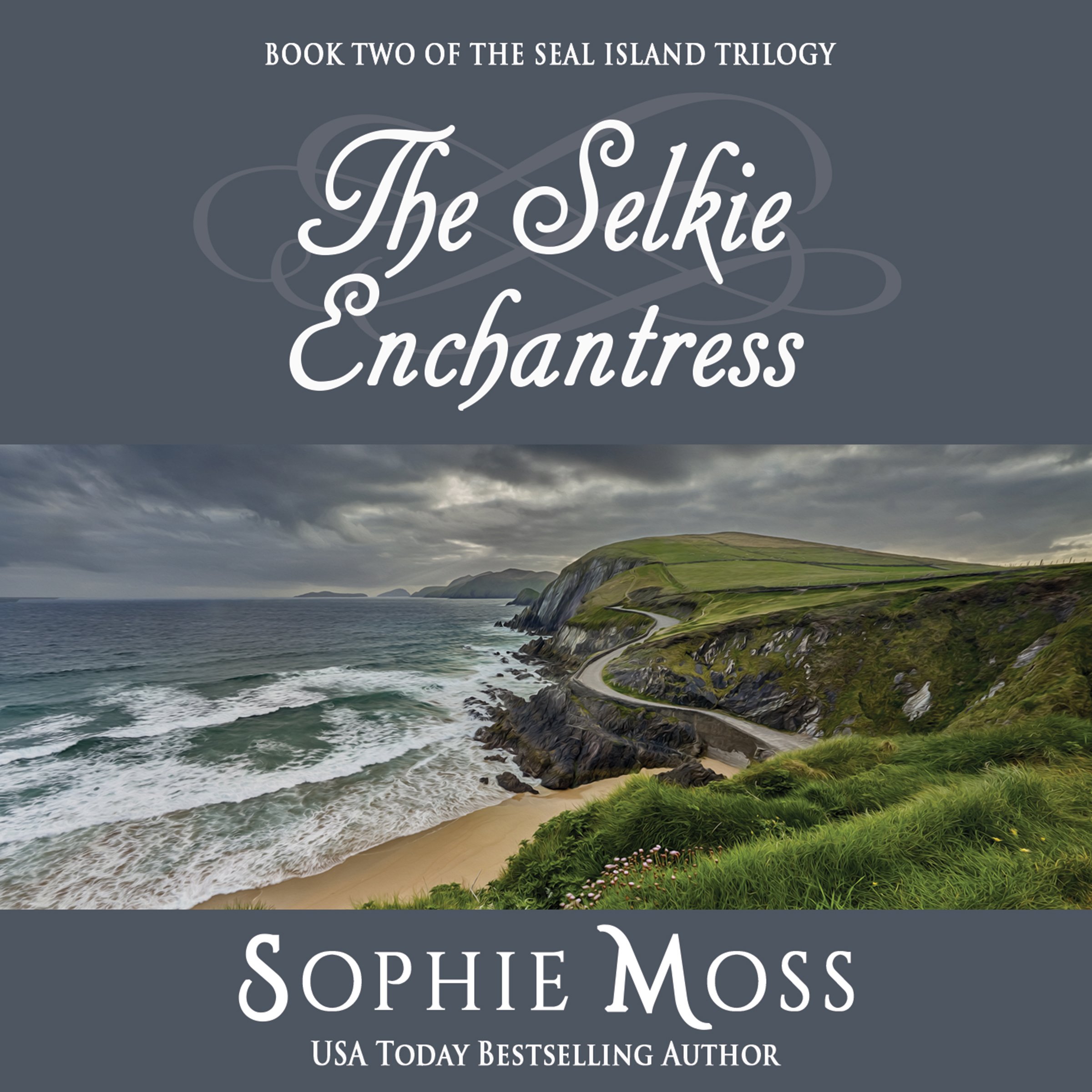 Cover art for The Selkie Enchantress