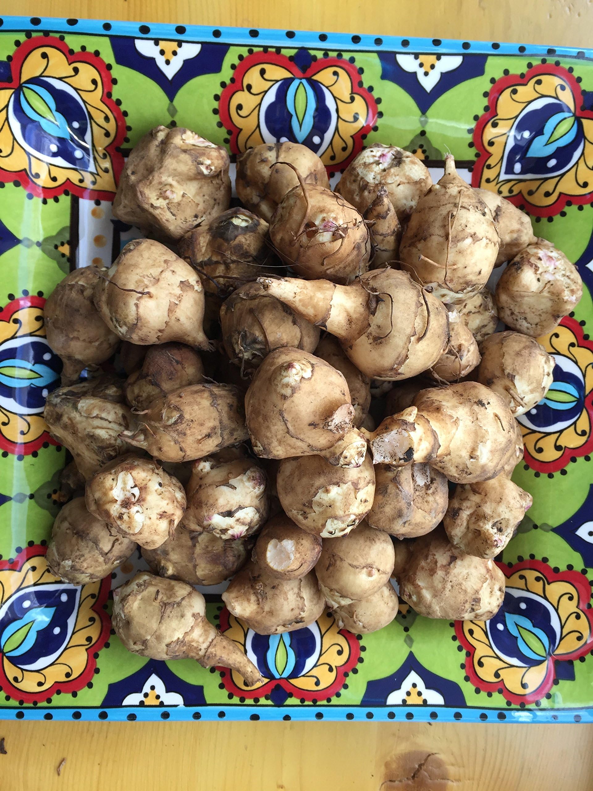 1 lbs Jerusalem Artichokes