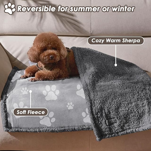 Foto 4 de 7 de Pawsee Manta impermeable para perros y gatos, lavable, manta impermeable para viajes, sofá de perros