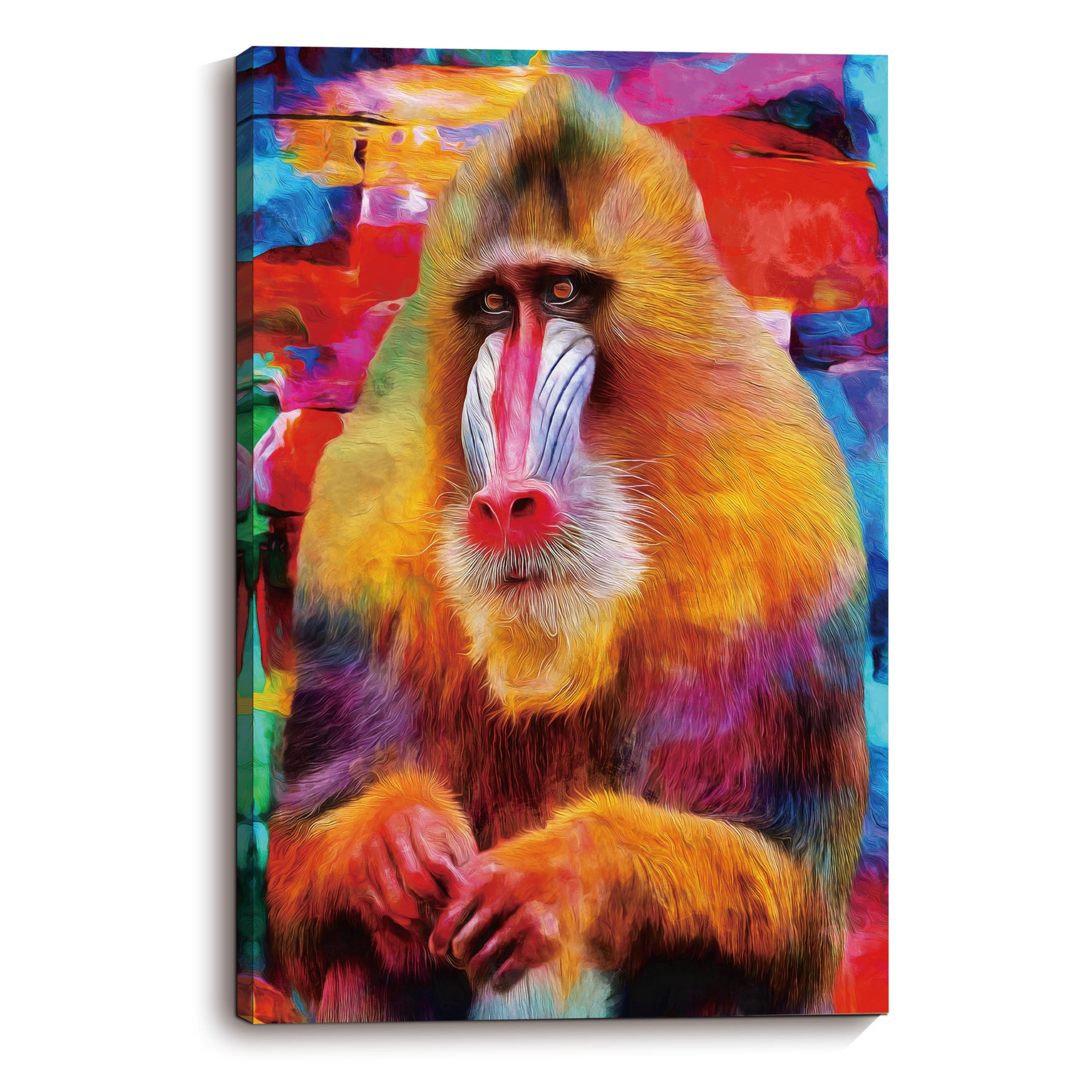 Amazon.com: ZNZ Madagascar Colourful Baboons HD Giclee Print Wall