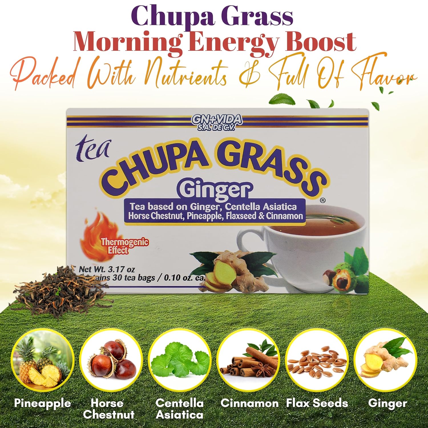 New Improved Formula Tea CHUPA Grass - Tea Based Ginger, Gotu Kola & Cinammon & Te CHUPA Panza Jengibre (30 Tea Bags/0.10 oz Each) - Image 4