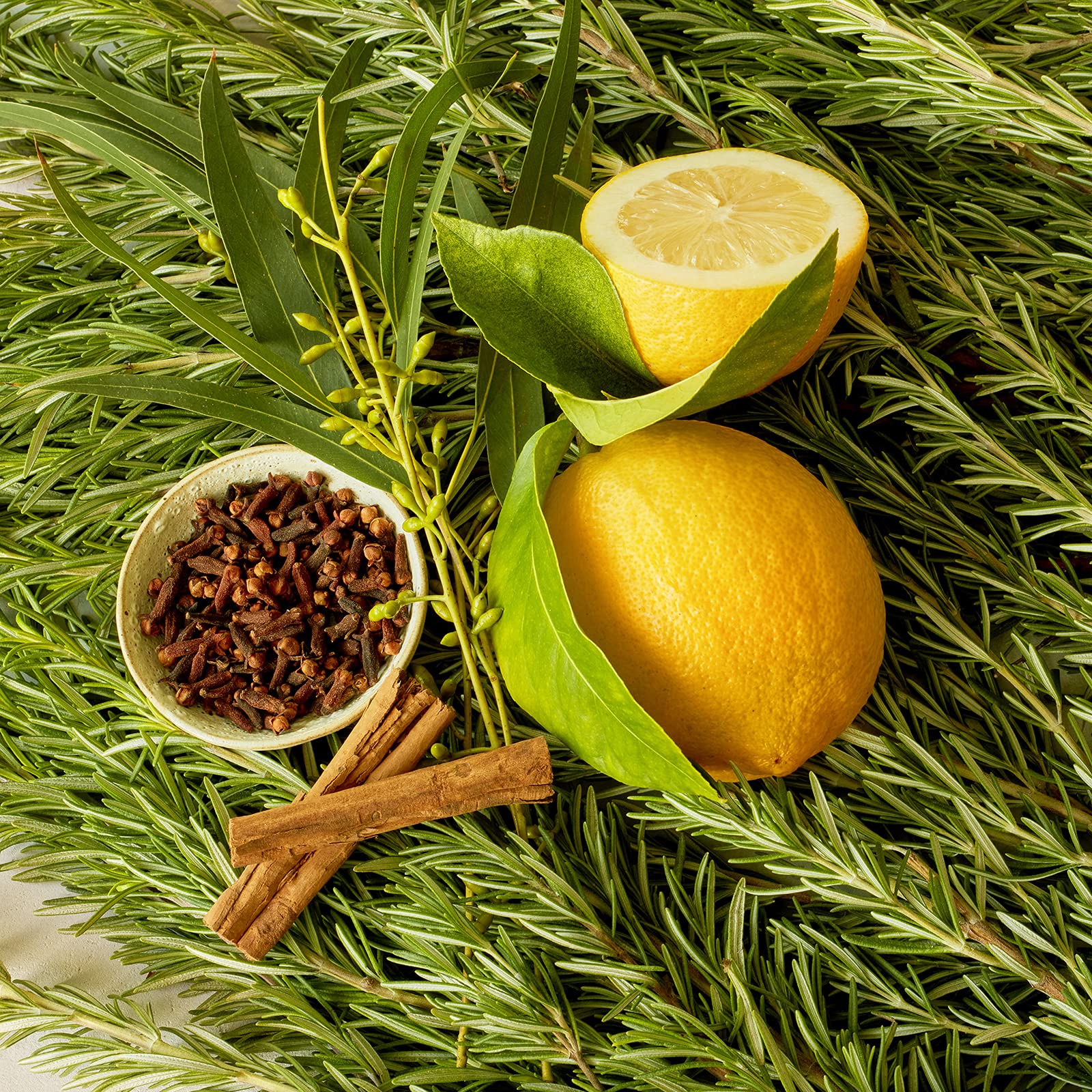 Young Living Thieves Household Cleaner UltraConcentrated formula