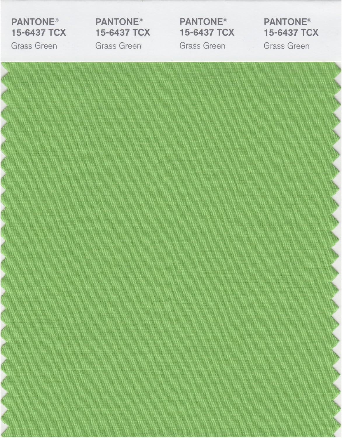PANTONE Smart 15-6307X Color Swatch Card, Agate Gray