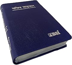 Hindi Bible O.V. Silver Yapp (Royal Blue) Contains Old and New Testament BSI Version