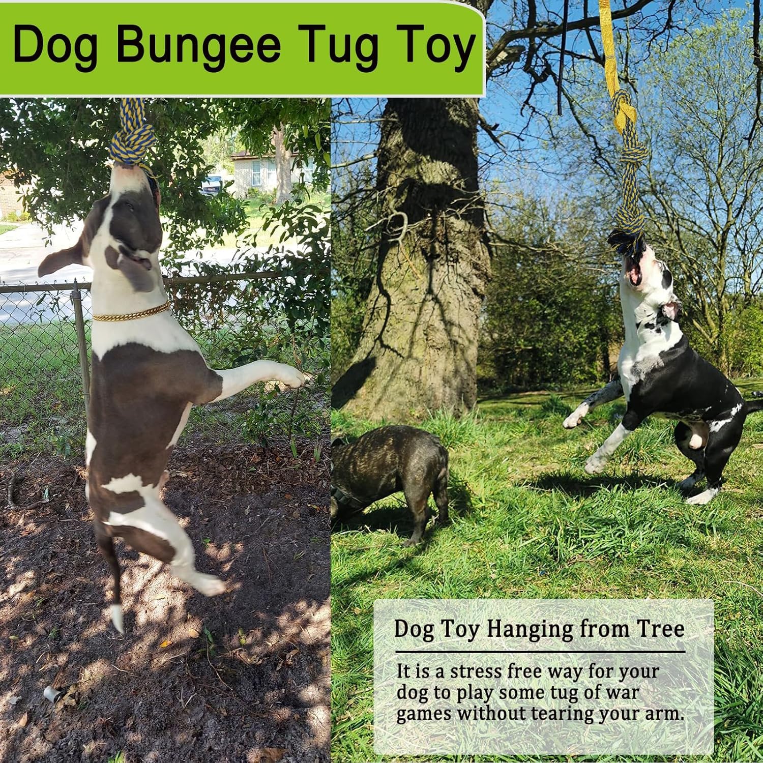 Juguete elástico para Perros, Juguete para Perros Colgando del árbol, Juguete Interactivo Duradero de Cuerda para Perros con señuelo para Masticar, Tira y afloja al Aire Libre para Perros