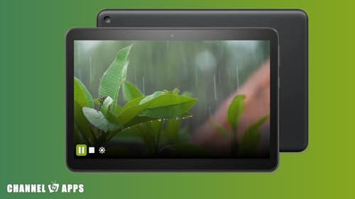 Som da Floresta de Chuva & Natureza: Som Relaxante da Chuva para Dormir e Meditar, Estudo, Sons da F