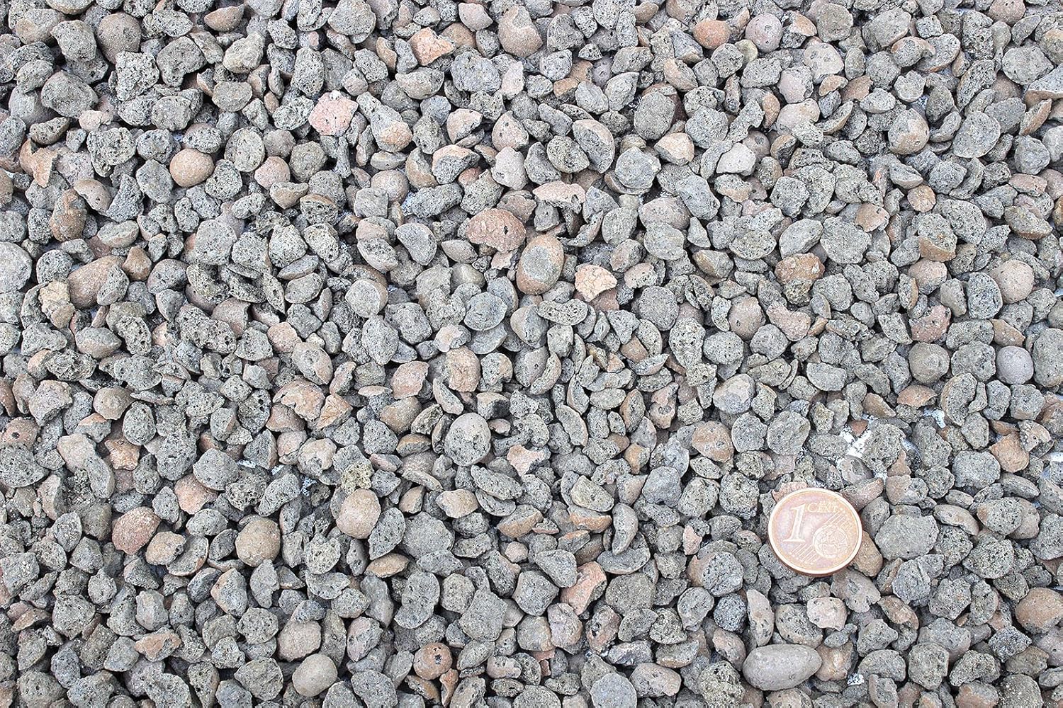 Mykorrhiza Und Trichoderma 1l Amazon De Garten Mykorrhiza Und Trichoderma 1l Amazon De Garten