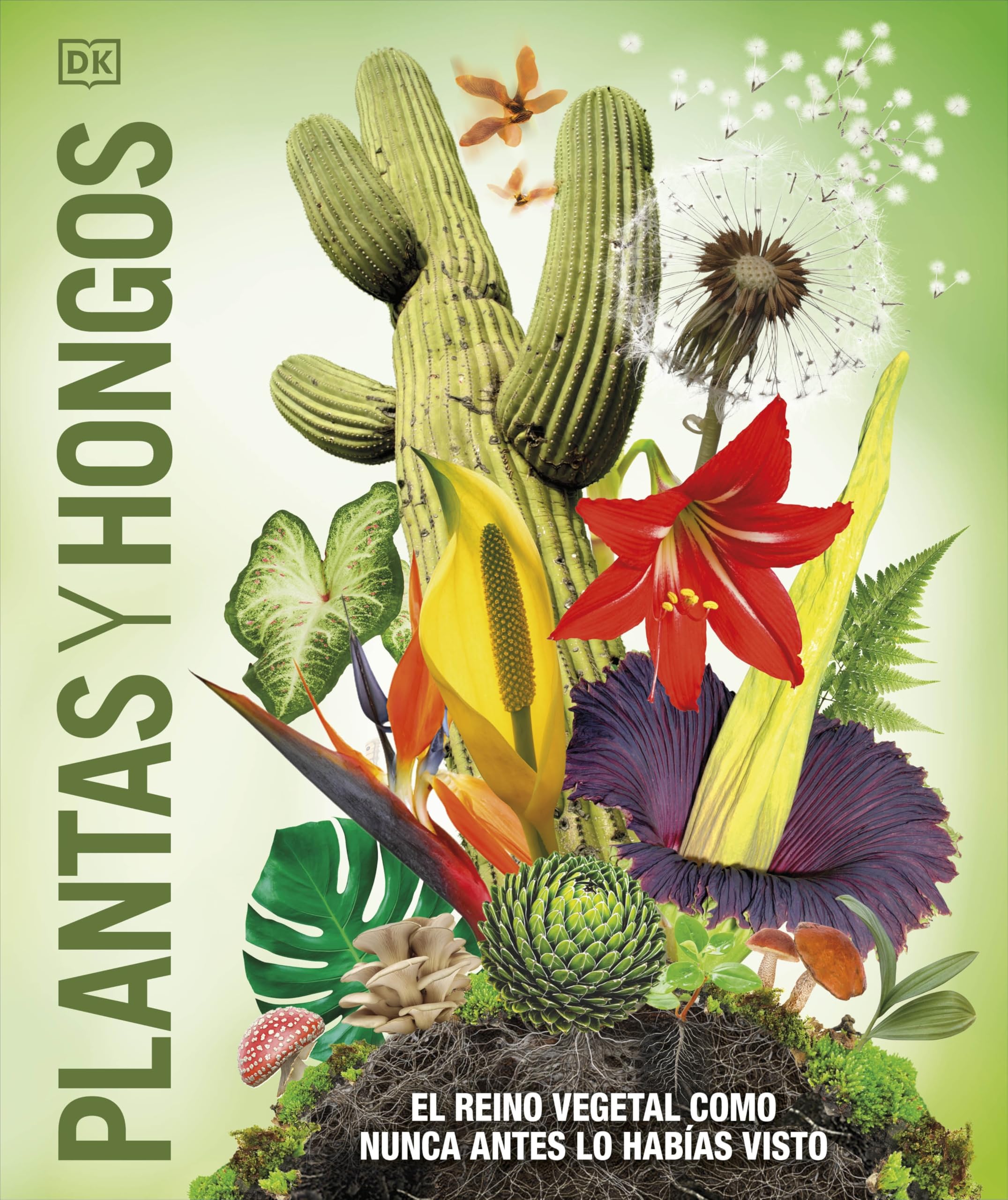 Plantas y hongos (Mundo 3D): El reino vegetal como nunca antes lo habías visto (Enciclopedia visual juvenil)