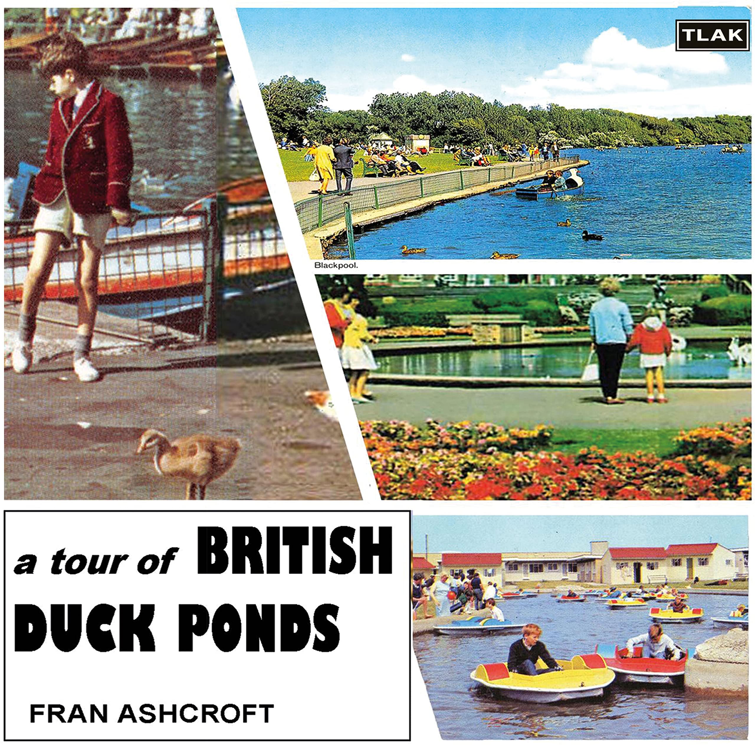 Fran Ashcroft A Tour of British Duck Ponds CD TLAK1145 NEW