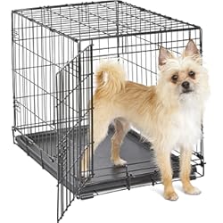 Cofre Maletero New World modelo B24 Jaula para perros recién óptimizada, con una sola puerta, bandeja a prueba de fugas, patas protectoras y nuevas características patentadas, longitud de 60.96 cm