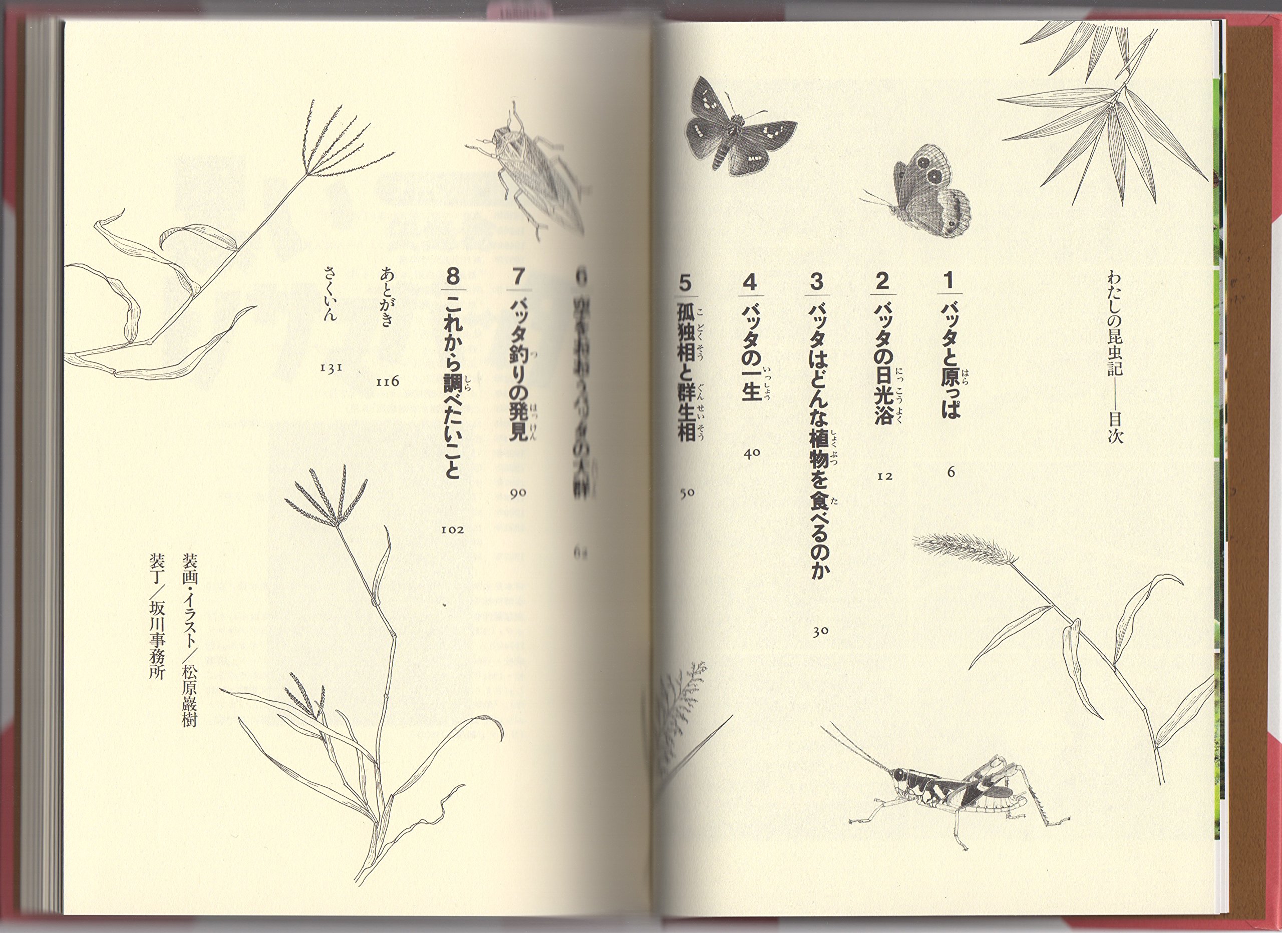 矢島稔「わたしの昆虫記」/偕成社（単行本） 516zMI6YqQL.jpg