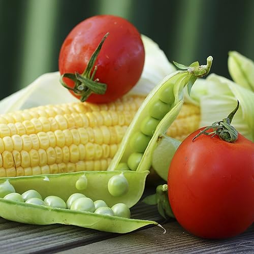 Miniatura 2 de Augason Farms 5-14000 semillas de jardín de verduras 13 variedades 1 libra n 10 lata