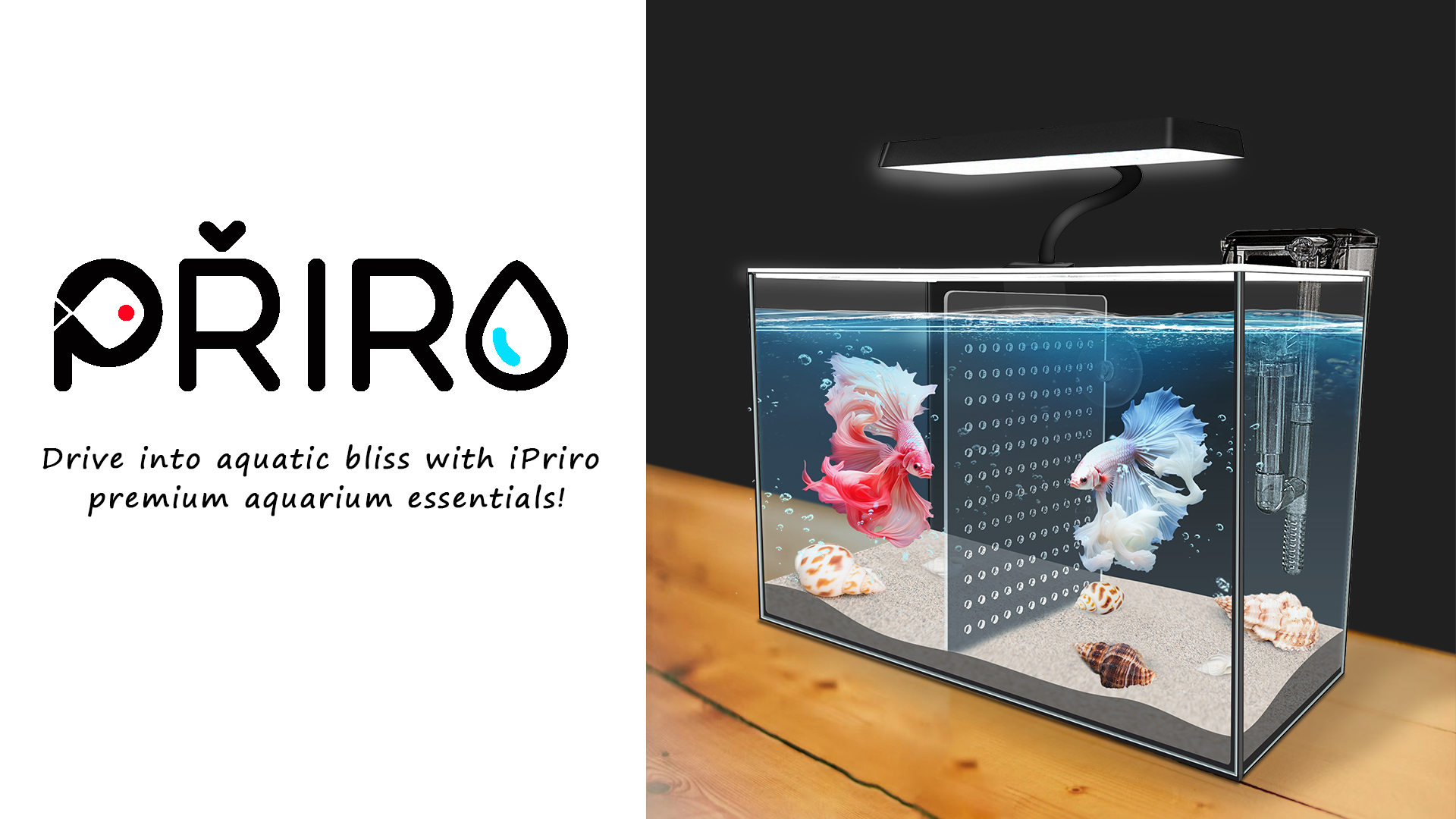 Amazon.com : iPriro 3 Gallon 12.6” L Fish Nano Glass Aquarium