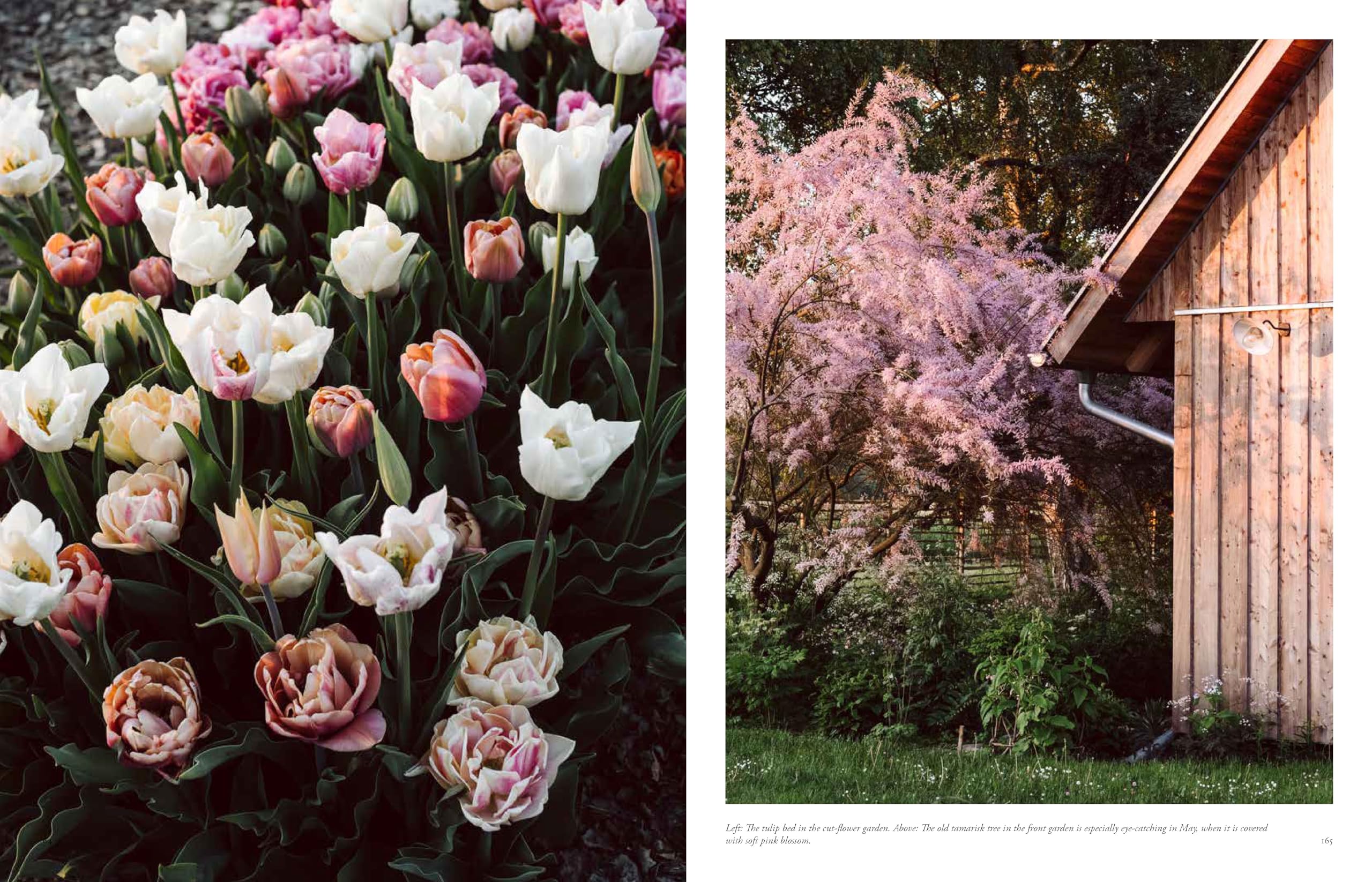 Beyond the Meadows: Portrait of a Natural and Biodiverse Garden by Krautkopf