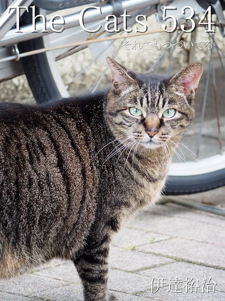 コミック・アニメ Gato Amazon.com: The Cats 189 zakyaltutu (Japanese Edition) eBook