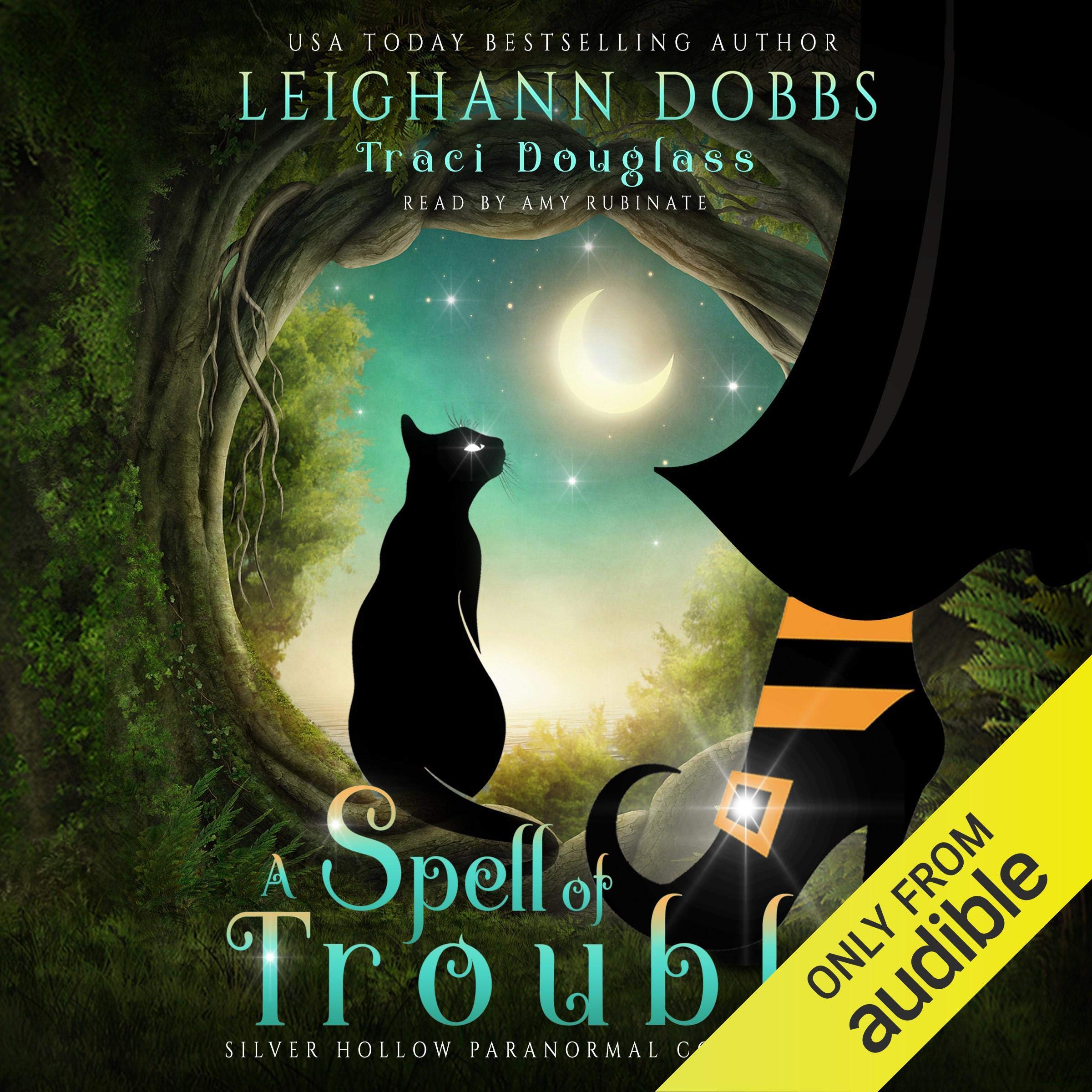 Cover art for A Spell of Trouble