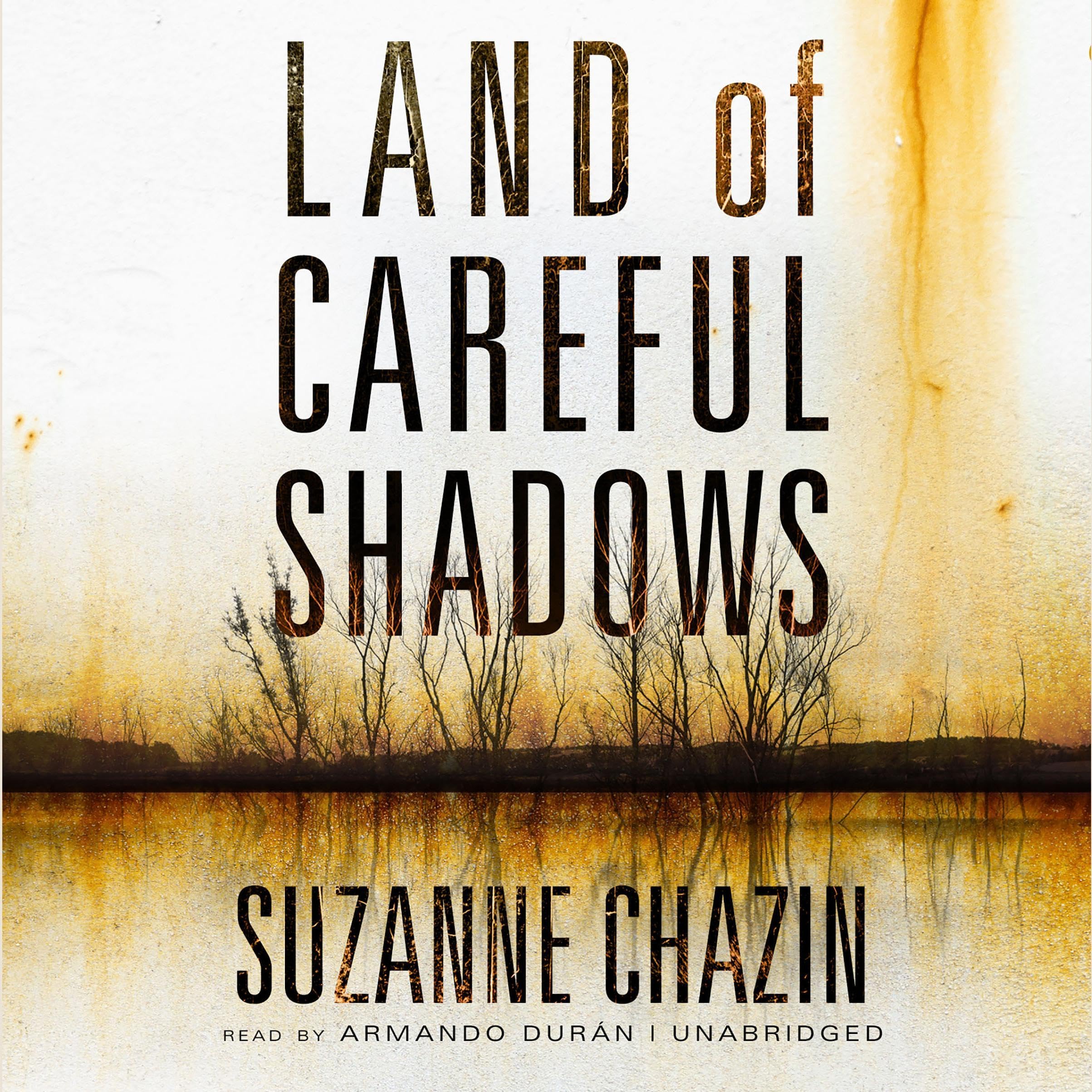 Cover art for Land of Careful Shadows