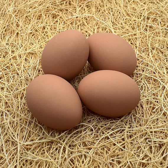 Ceramic Nest Eggs 4-Pack (Brown)
