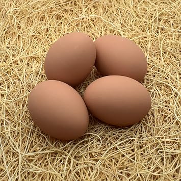 Ceramic Nest Eggs 4-Pack (Brown)