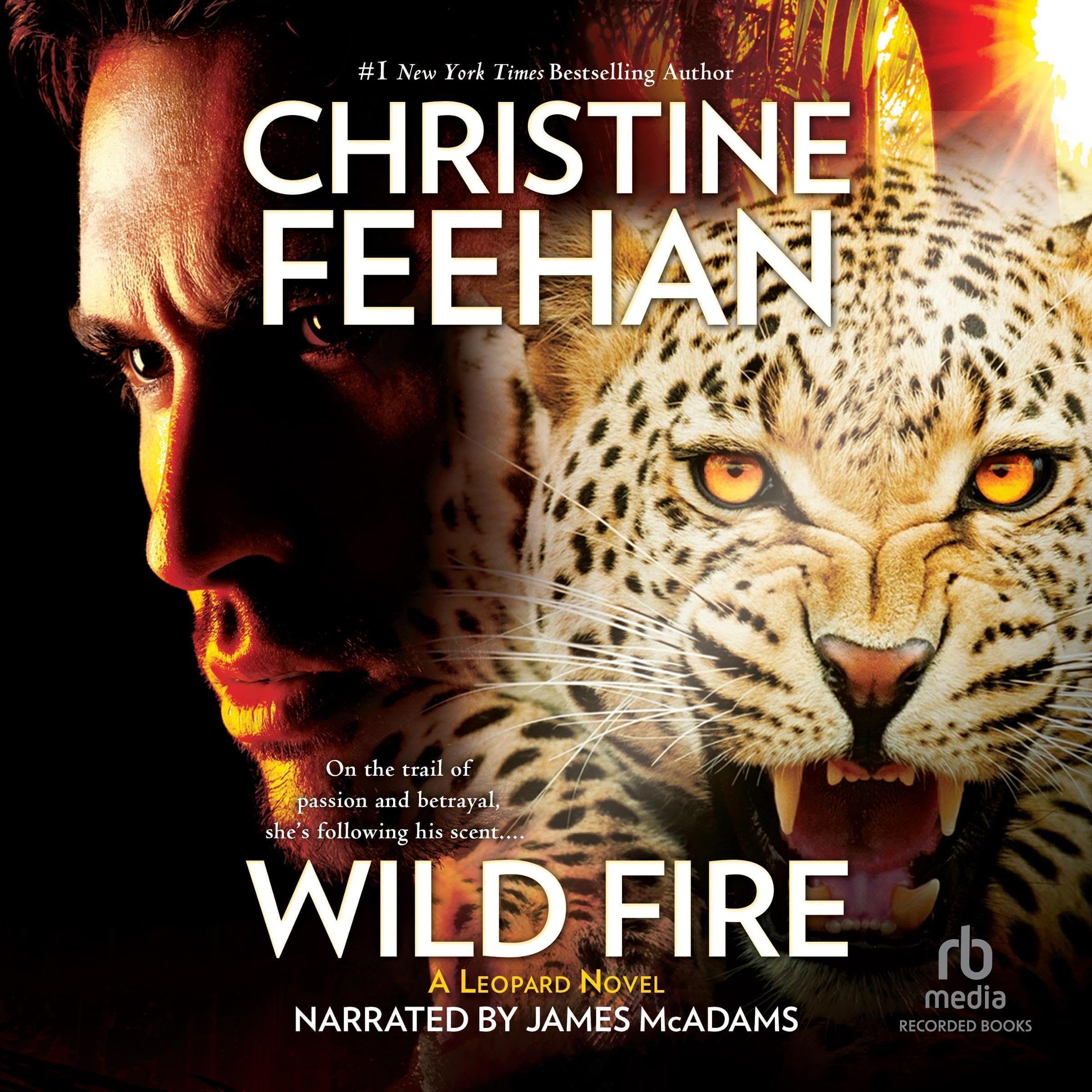 Cover art for Wild Fire
