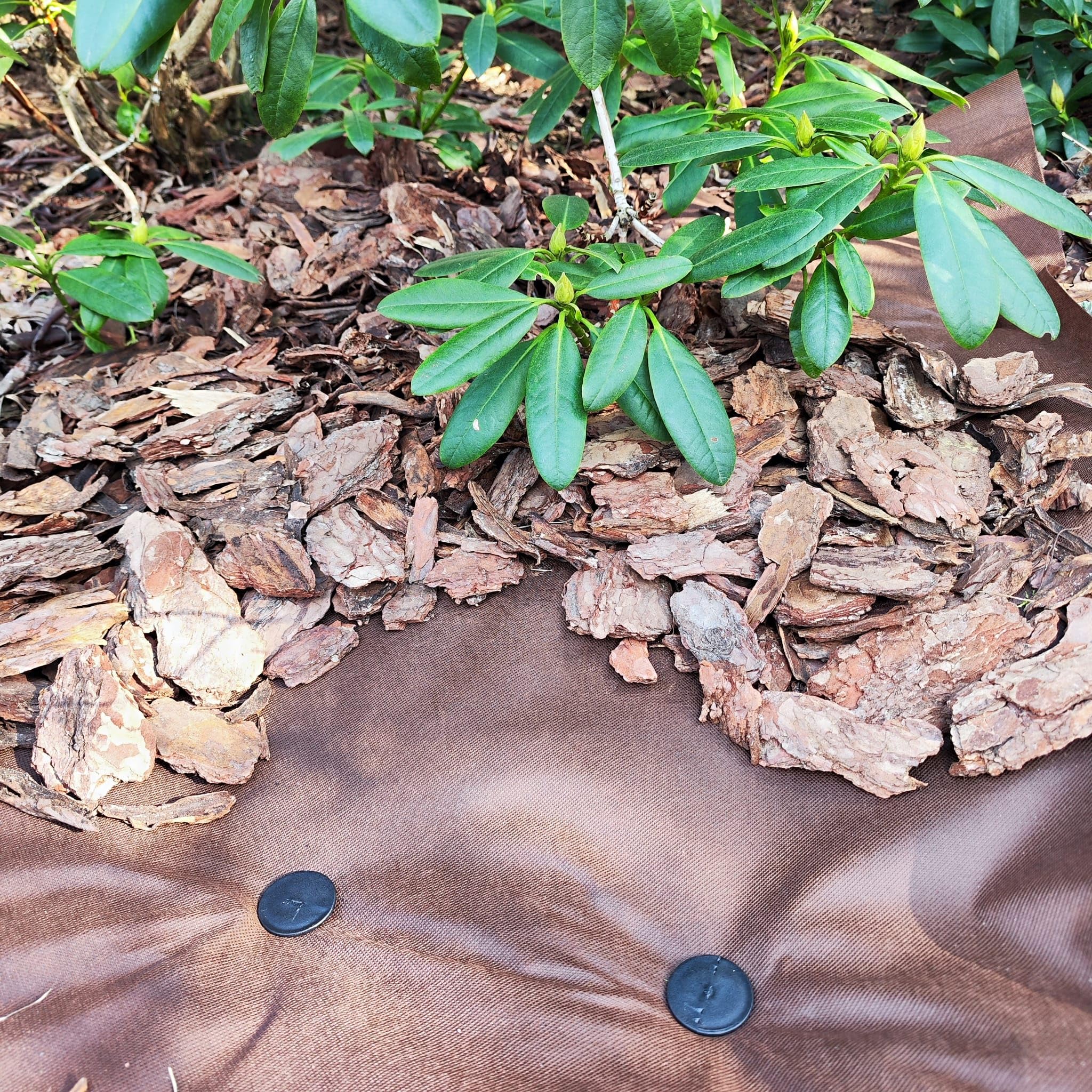 EraGreen Tessuto non tessuto per erbacce da giardino, 1,6 m x 100 m, 50 g/m², marrone, permeabile all'acqua, stabilizzato ai raggi UV, ideale per il giardino, aiuole rialzate, serre, pellicola per